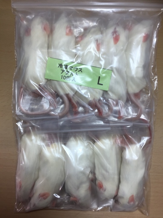 アダルトL - esa屋 - 猛禽類・爬虫類・肉食魚の餌用国産冷凍