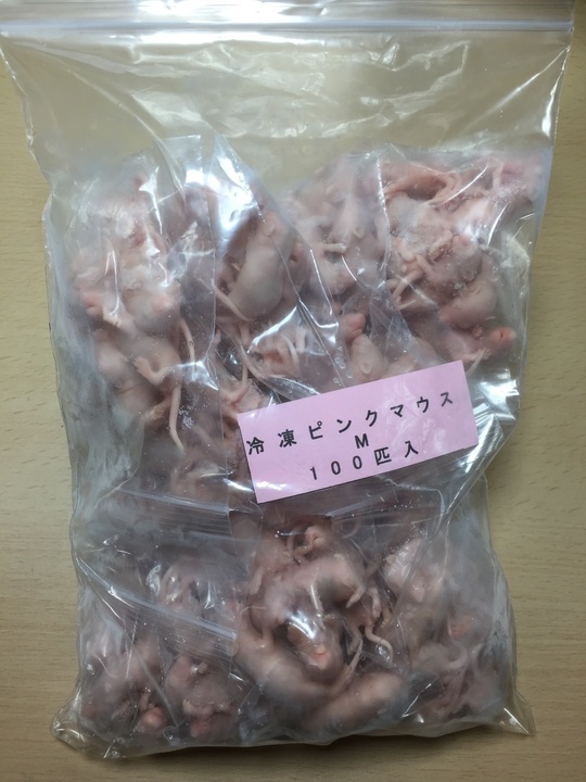 【地域限定送料無料】国産冷凍ピンクマウスS+L各30匹入@北海道・沖縄は別途送料