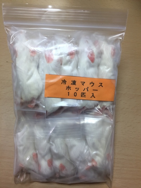 冷凍マウス28匹セット Amazon | （ファジーS）冷凍マウス 20匹 国産 ナンバーワン