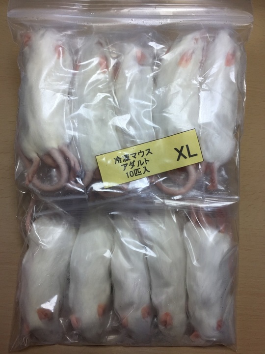 アダルトXL - esa屋 - 猛禽類・爬虫類・肉食魚の餌用国産冷凍マウス 