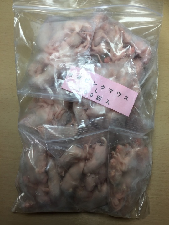 ピンクマウスL - esa屋 - 猛禽類・爬虫類・肉食魚の餌用国産冷凍マウス