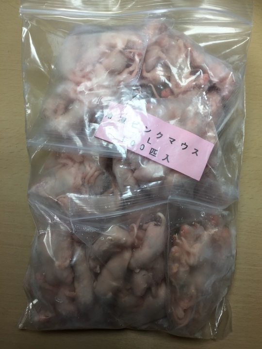 ピンクマウスl Esa屋 猛禽類 爬虫類 肉食魚の餌用国産冷凍マウス通販 通信販売 ピンクマウスl Esa屋 猛禽類 爬虫類 肉食魚の餌用国産冷凍マウス通販 通信販売