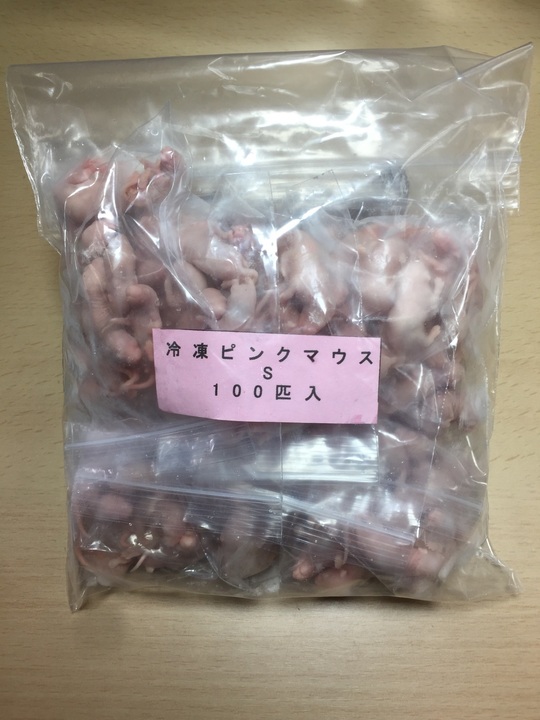 商品ラインナップ - esa屋 - 猛禽類・爬虫類・肉食魚の餌用国産冷凍