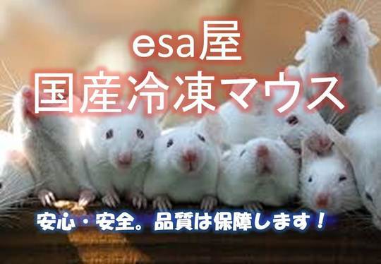 Esa屋 猛禽類 爬虫類 肉食魚の餌用国産冷凍マウス通販 通信販売