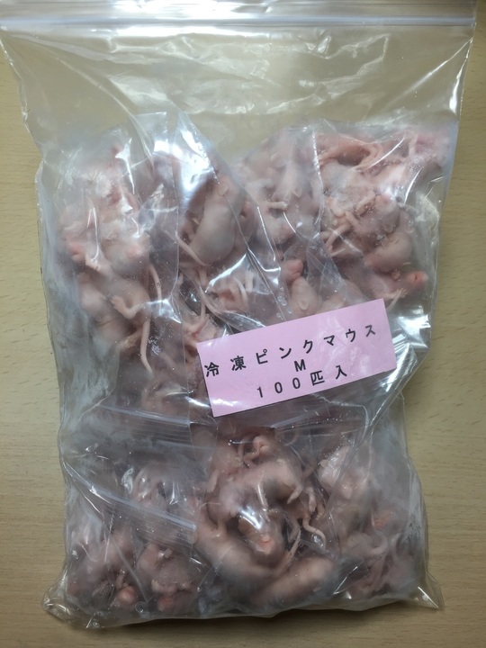 esa屋   猛禽類・爬虫類・肉食魚の餌用国産冷凍マウス通販通信販売