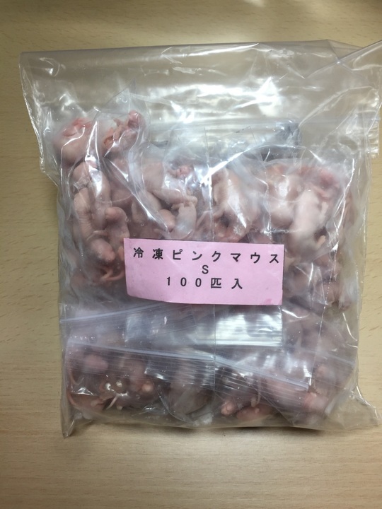 esa屋 - 猛禽類・爬虫類・肉食魚の餌用国産冷凍マウス通販（通信販売）