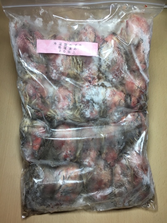 冷凍親ウズラ処理済み Esa屋 猛禽類 爬虫類 肉食魚の餌用国産冷凍マウス通販 通信販売